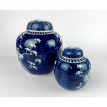 Two Chinese hand painted ginger jars and lids decorated with 'Prunus' pattern, largest 18.5cm.