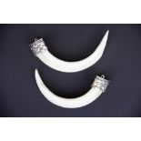 A pair of Oriental white metal mounted warthog tusks, L. 13cm.
