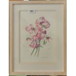 Two attractive framed watercolours one by Carolyn Bennett other initial S.H. largest 42 x 52cm.