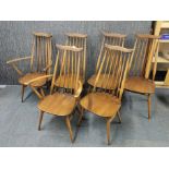 A set of six Ercol dining chairs including two carvers.