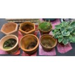 A group of seven terracotta plant pots, largest Dia.