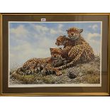 A large gilt framed limited edition 294/950 pencil signed lithograph of a big cat family by Seerey-