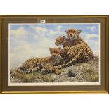 A large gilt framed limited edition 294/950 pencil signed lithograph of a big cat family by Seeley-