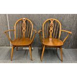 Two Ercol carver chairs.