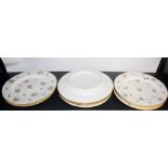 Ten early Derby hand painted porcelain plates, Dia. 25cm.