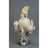 A Nymphenburg figure of a cockatoo, H. 38cm. Condition: small repair.