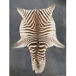 A zebra skin, L. 190cm.