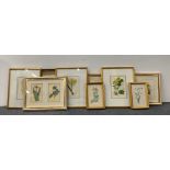 A group of antique framed prints of specimen flowers and three later prints, largest 43 x 53cm.