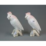 Two Royal Dux porcelain figures of cockatoos, H. 18.5cm.