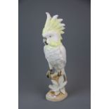 A large Royal Dux porcelain figure of a cockatoo, H. 40cm.