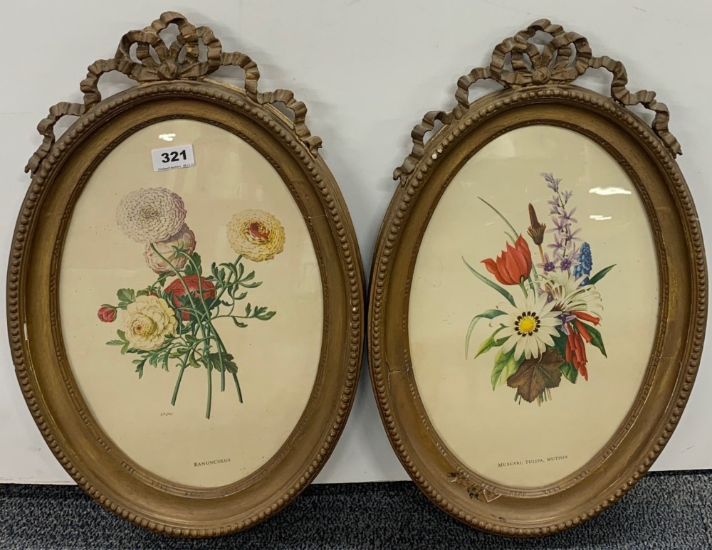 A pair of 19th century gilt wood framed prints of flower specimens, frame size 53cm.
