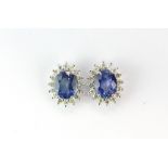 A pair of 18ct white gold (stamped 750) cluster earrings set with an oval cut sapphire surrounded by