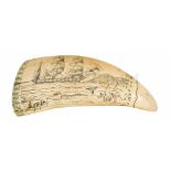 Ø A SCRIMSHAW DECORATED WHALE'S TOOTH