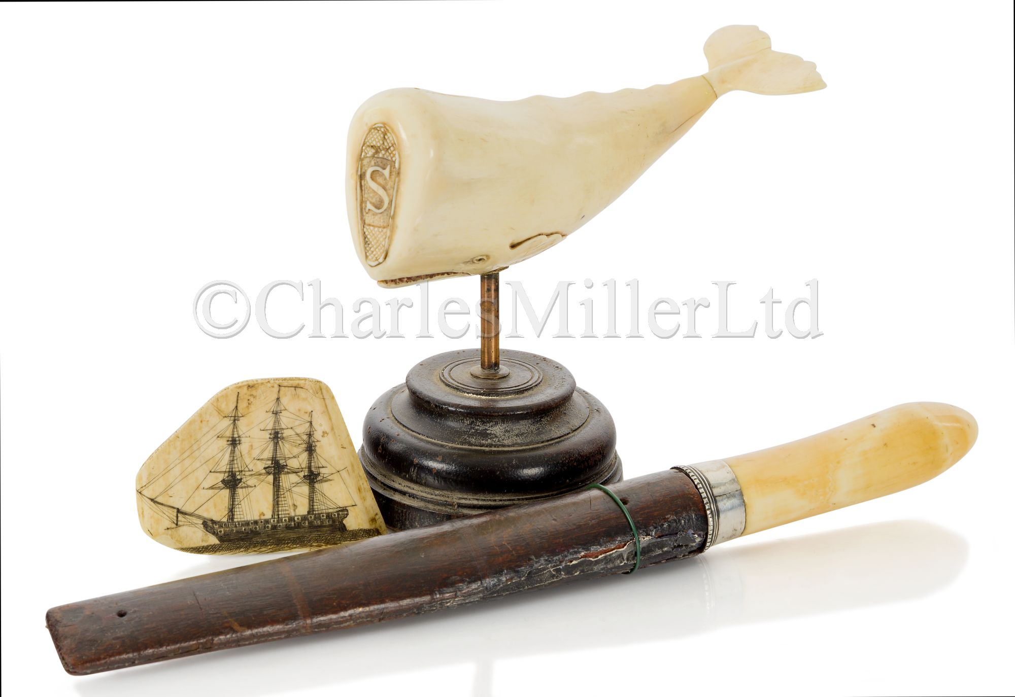 Ø A CARVED SPERM WHALE'S TOOTH LOG STAMP