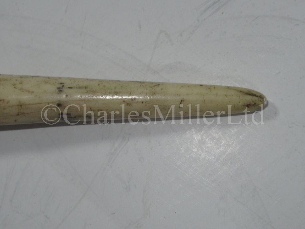 Ø A FINE 19TH CENTURY NARWHAL TUSK - Image 3 of 13