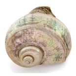 A SCRIMSHAW DECORATED NAUTILUS SHELL