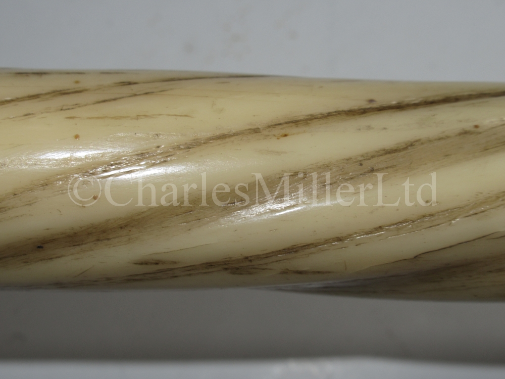 Ø A FINE 19TH CENTURY NARWHAL TUSK - Image 6 of 13