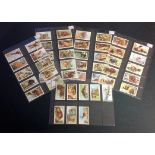 Wild Animals Gallaher Ltd cigarette card collection full set of 48 cards. We combine postage on