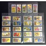 Wild Flowers Sweetule Products Ltd card collection full set of 25 cards. We combine postage on