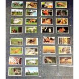 Animals Trucards card collection full set of 30 cards. We combine postage on multiple winning lots