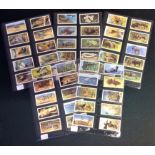 Wildlife in Danger Brooke Bond card collection full set of 50 cards. We combine postage on