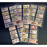 Cigarette Card Collection W. D and H. O Wills Wild Flowers full set of 50 cards. We combine