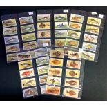Sea Fishes John Player and Sons Cigarette card collection full set of 50 cards. We combine postage