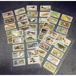 Wild Birds in Britain Brooke Bond card collection full set of 50 cards. We combine postage on