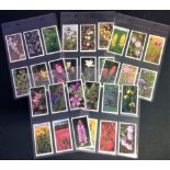 Cigarette Card Collection Grandee featuring Britain Wild Flowers full set of 30 colourful images. We