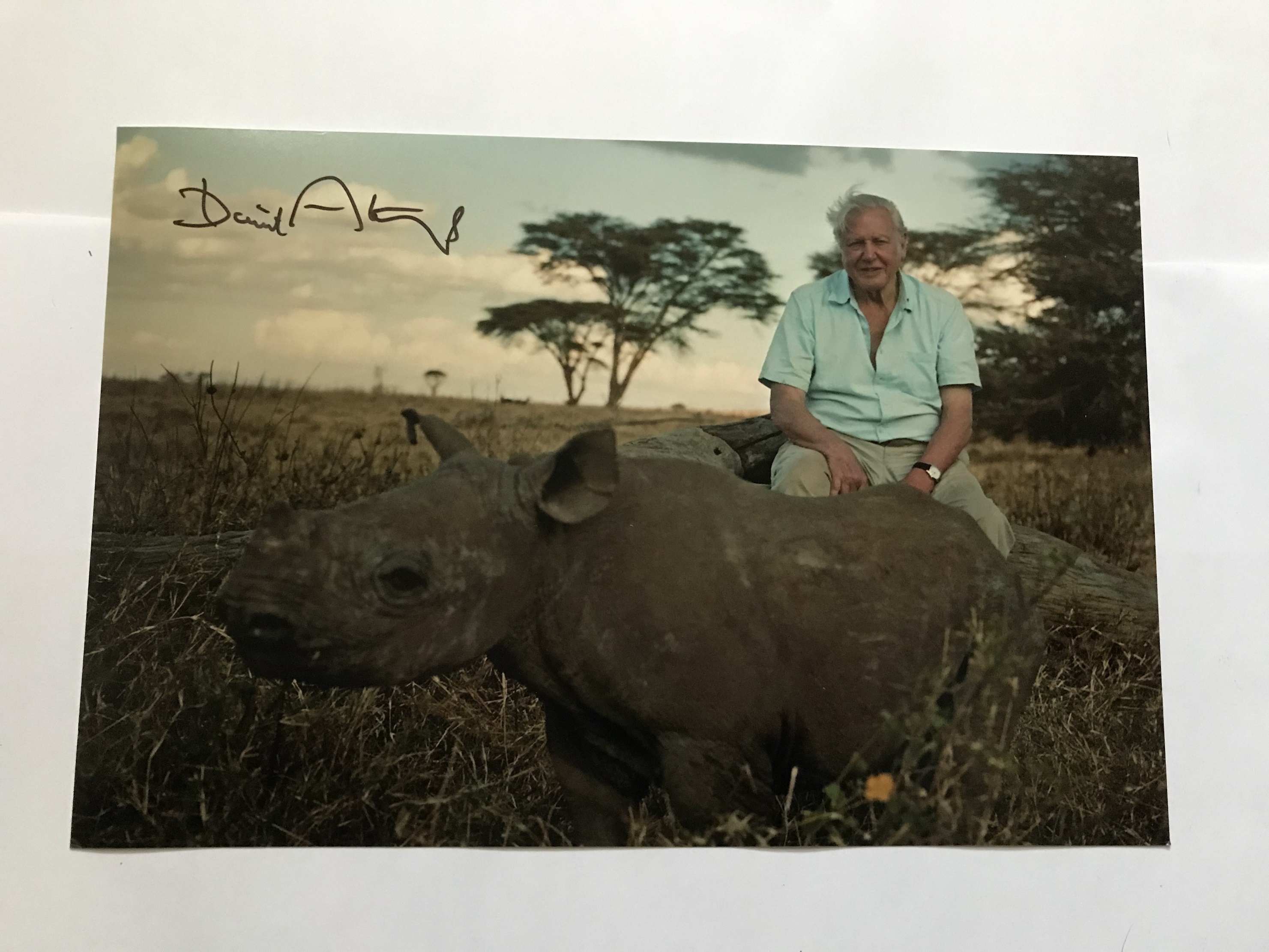 David Attenborough signed 12 x 8 inch colour photo with baby Rhino. Good condition. All signed