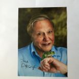 David Attenborough signed 12 x 8 inch colour photo with green frog on his hand. Good condition.