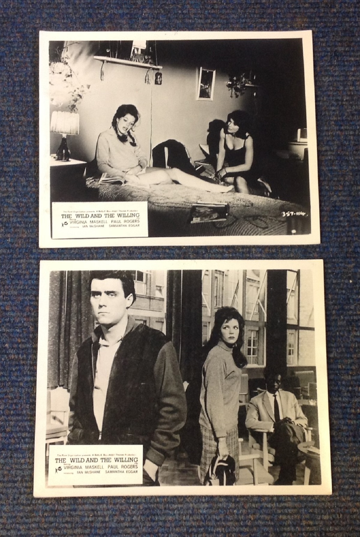 The Wild and the Willing two vintage black and white lobby cards from the 1962 British romantic