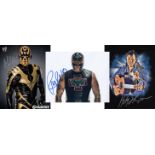 Blowout Sale! Lot of 3 WWE / WWF hand signed 10x8 photos. This beautiful lot of 3 hand signed photos