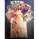 Liz Hurley memorabilia collection. Lots of newspaper articles, photos, clippings etc. Good