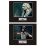 Set of 2 Stunning Displays! The 100 hand signed professionally mounted displays. This beautiful