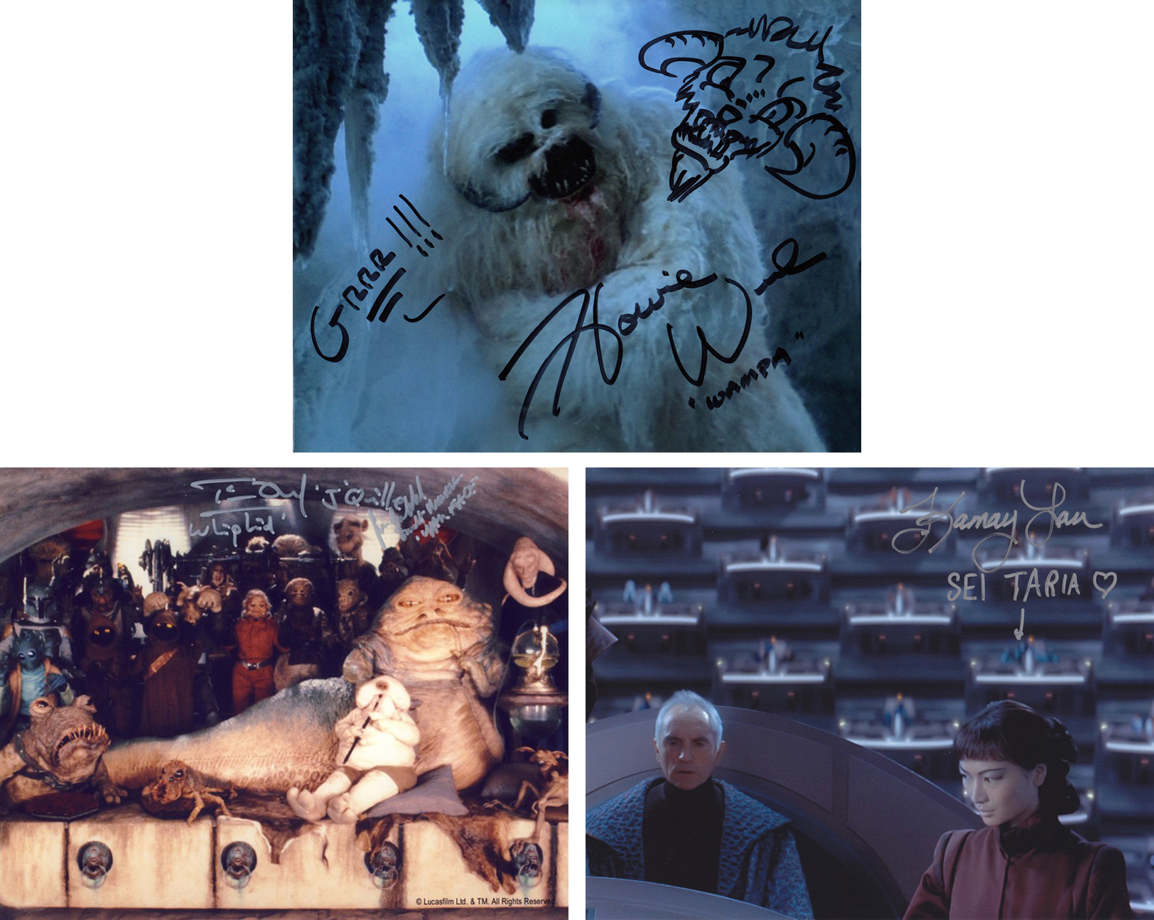 Blowout Sale! Lot of 3 Star Wars hand signed 10x8 photos. This beautiful lot of 3 hand signed photos