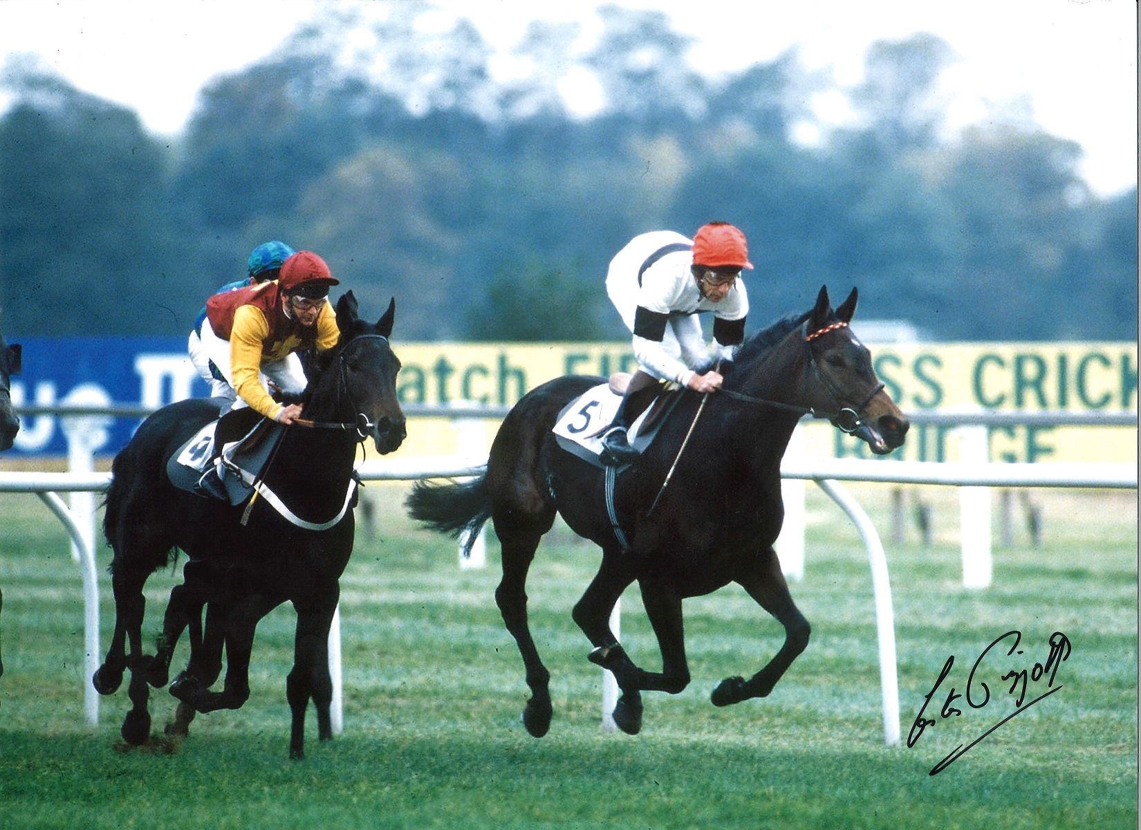 Lester Piggott Signed 16 x 12 inch horse racing photo. Good condition. All autographs come with a