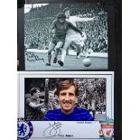 Chelsea Footbll Past and Present signed photo collection.
