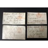 Battle of Waterloo signed collection