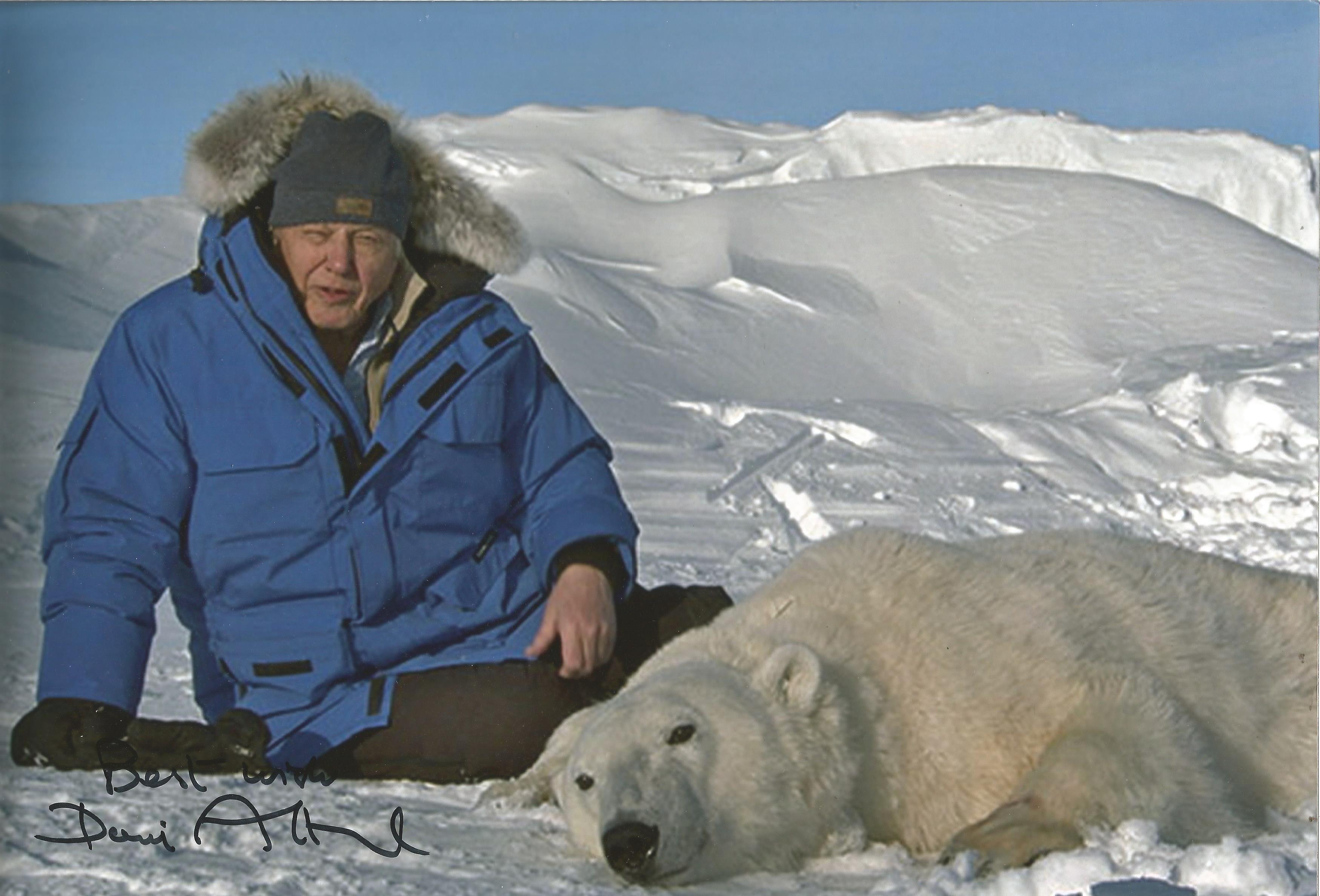 David Attenborough signed 12 x 8 inch colour photo with Polar Bear