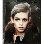Twiggy supermodel 1960s signed 10 x 8 inch colour photo. Condition 8/10. All autographs come with