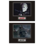 Set of 2 Stunning Displays! Horror movies hand signed professionally mounted displays. This