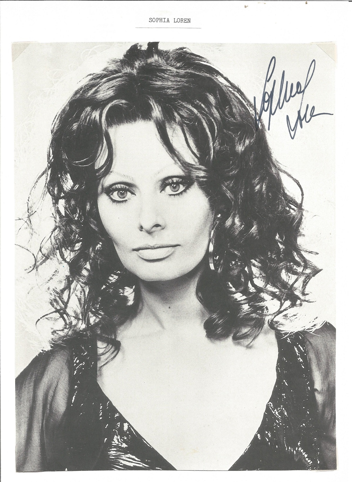 Sophia Loren signed 10x8 black and white photo. Good condition. All autographs come with a