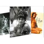 Senta Berger signed photo collection. 3 in total. Various sizes. Good condition. All autographs come