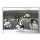 Alan Mullery signed 12x8 colour montage photo pictured during his time with Tottenham Hotspur.