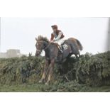 John Francombe Signed Horse Racing Jockey 8x12 Photo . Good condition. All autographs come with a