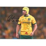 Rugby Union Matt Giteau signed 12x8 colour photo pictured while playing for Australia. Good