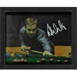 Ali Carter signed 8x10 photo, framed. Ali 'The Captain' Carter is one of the most popular players on