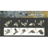 GB Mint stamps Birds of Prey 2003 presentation pack number 343, with Display your Presentation Packs