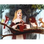 Mary Costa signed 10x8 Sleeping Beauty colour photo. Mary Costa (born April 5, 1930) is an